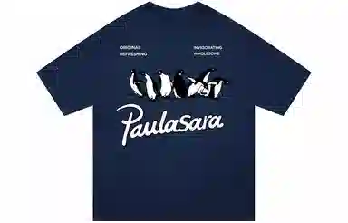 PAULASARA T
