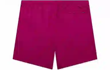 Stussy Logo Embroidered Shorts