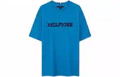 Tommy Hilfiger T