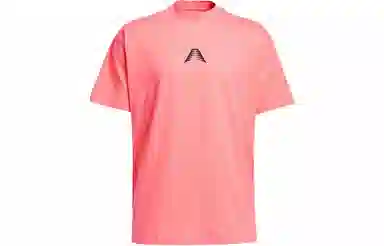adidas originals Ae Foundation T