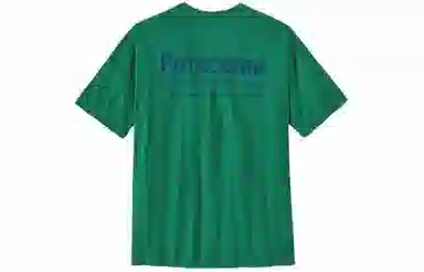 patagonia T