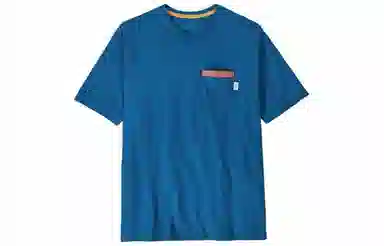 patagonia T