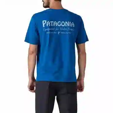 patagonia T
