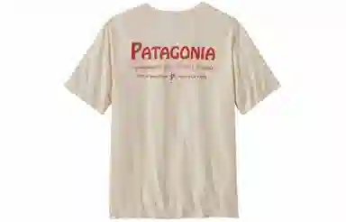 patagonia T