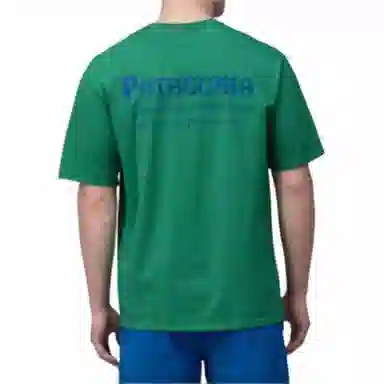 patagonia T