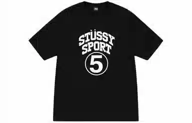 Stussy SS24 T