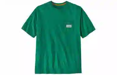 patagonia T