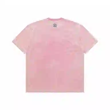 Aape T