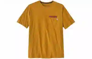 patagonia T