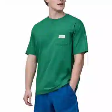 patagonia T