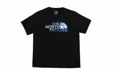 THE NORTH FACE SS24 T