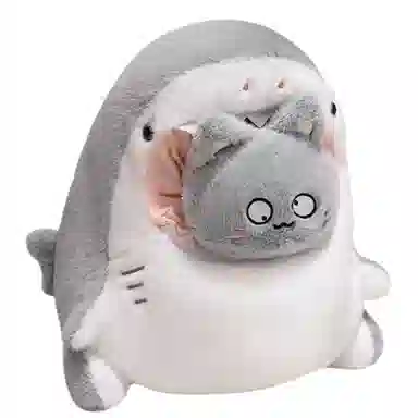 x 30cm40cm
