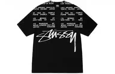 Stussy SS24T