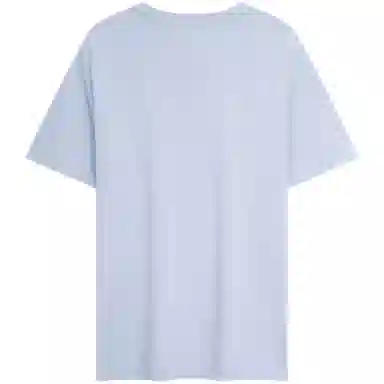 Tommy Hilfiger T