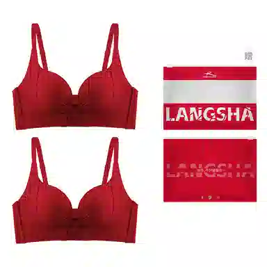 bra