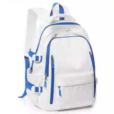 LANDCASE Backpack