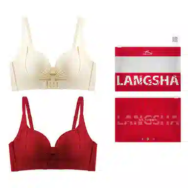 bra