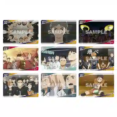 BANDAI TV02 IP202