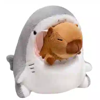 x 30cm40cm