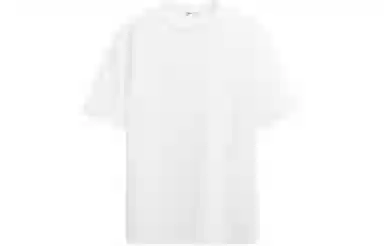 ZARA T