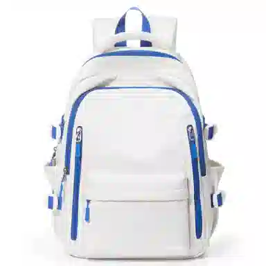 LANDCASE Backpack