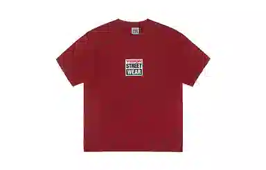 Vision Street Wear BOX logo SS24T