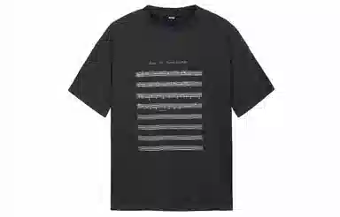 ICONS Lab T
