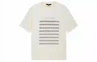 ICONS Lab T