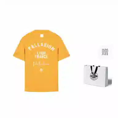Palladium SS24T