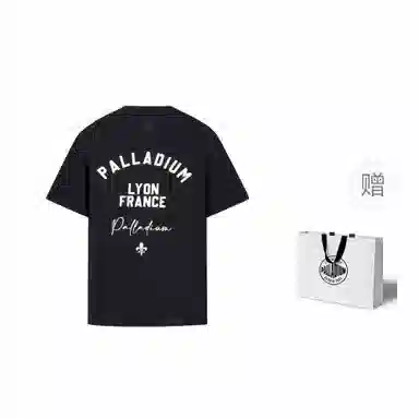 Palladium SS24T