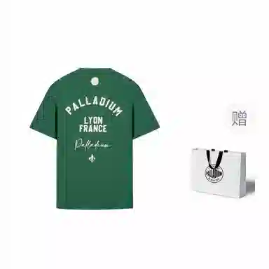Palladium SS24T