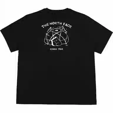 THE NORTH FACE T