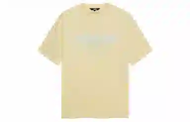 ICONS Lab T