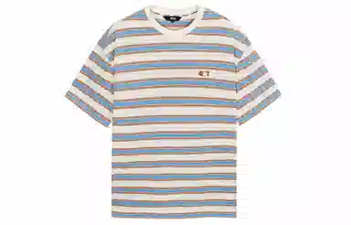 ICONS Lab T
