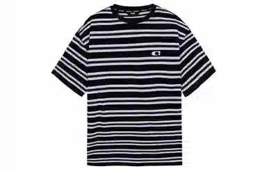 ICONS Lab T