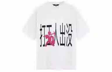 ICONS Lab T