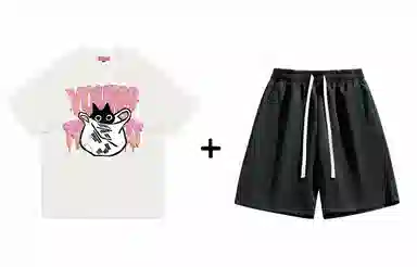 REXSHION T