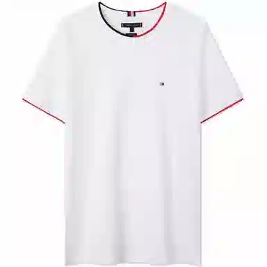Tommy Hilfiger T
