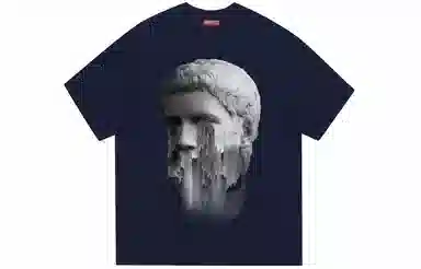 REXSHION T