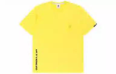 Aape T