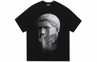 REXSHION T