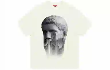 REXSHION T