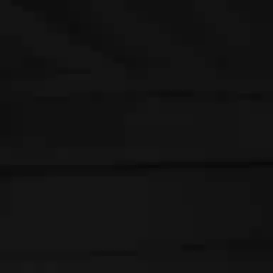 adidas D2M Tee LogoT