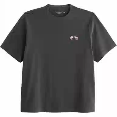 AbercrombieFitch T