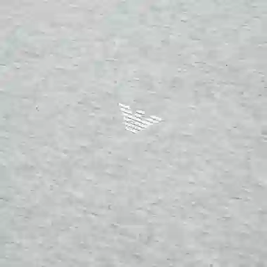 EMPORIO ARMANI SS24 LogoT 2