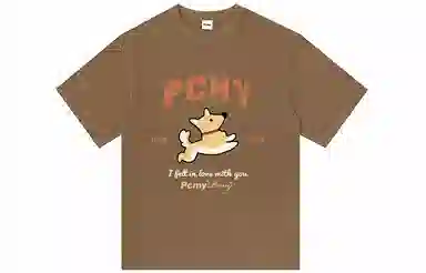 PCMY T