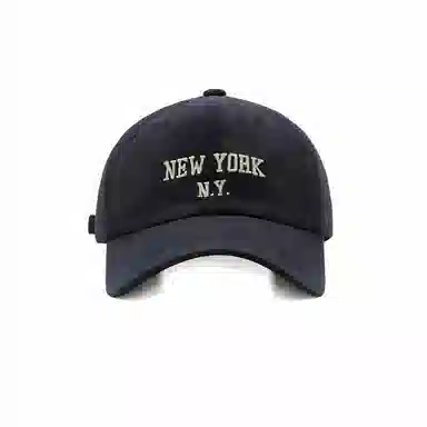 PLAN IN NEW YORK
