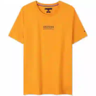 Tommy Hilfiger T