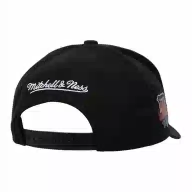 Mitchell Ness -