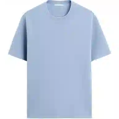 ZARA T